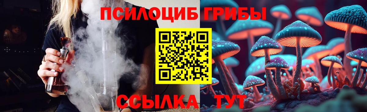 Псилоцибиновые грибы Psilocybine cubensis  Вход с VPN  Беслан 